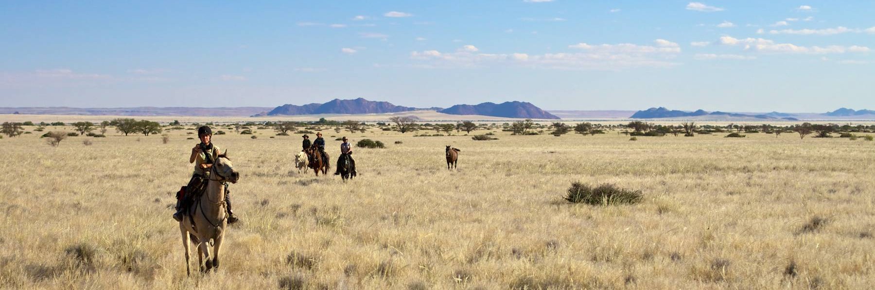 wild-horses-ride-in-namibia
