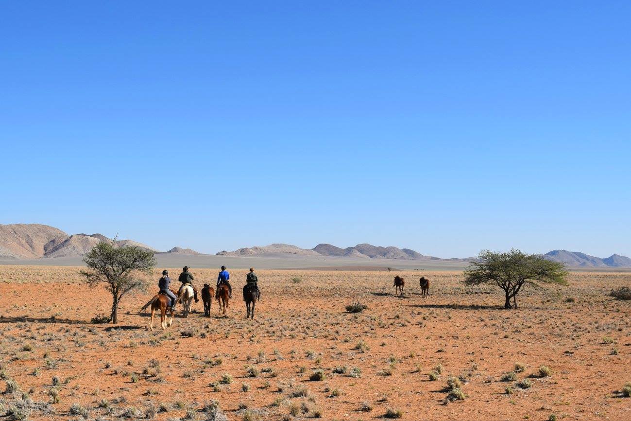 Namib Desert Ride July 2016