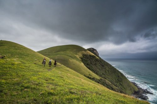 wild coast horse safari