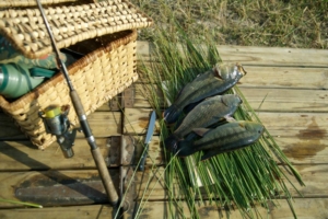 Fishing in the Okavango Delta