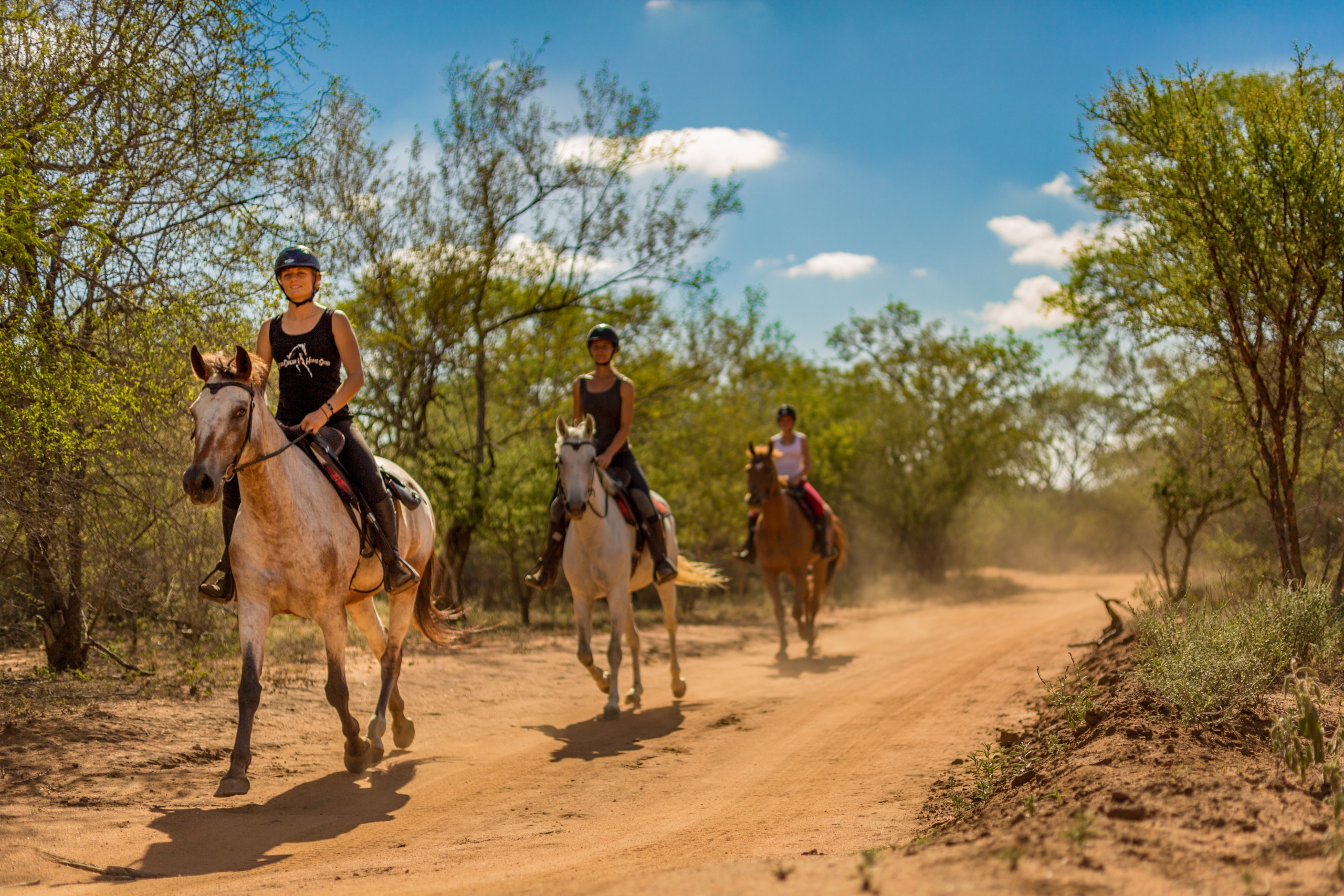 african horse safaris working holiday