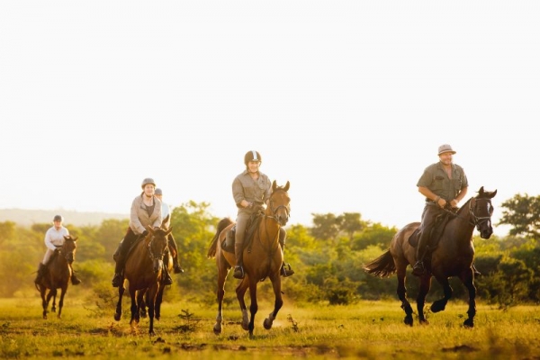 Horse riders galloping through savanna