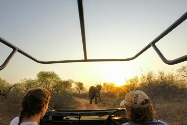 Sunset Game Drives