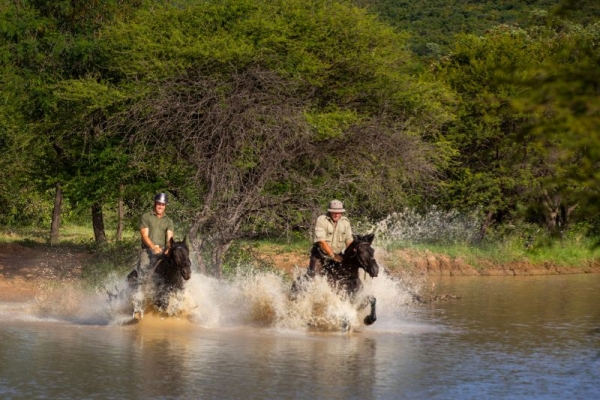 Horses galloping through water