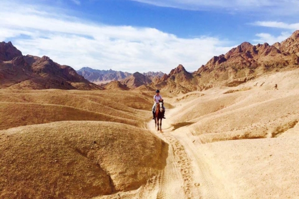 Horse riding in the desert