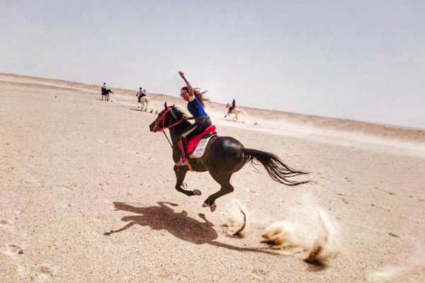 Galloping in the desert