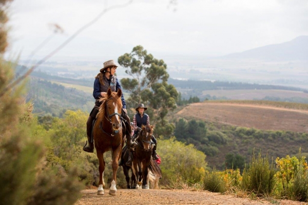 horse riding in the mountains and winefarms around Cape Town
