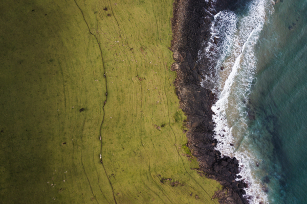 Arial view of grass and sea