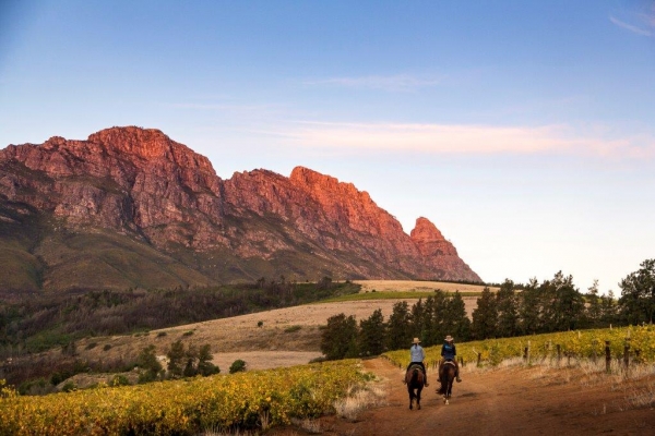Horse riding in the Cape Winelands where the mountains turn pink