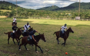 Polo Players in Africa