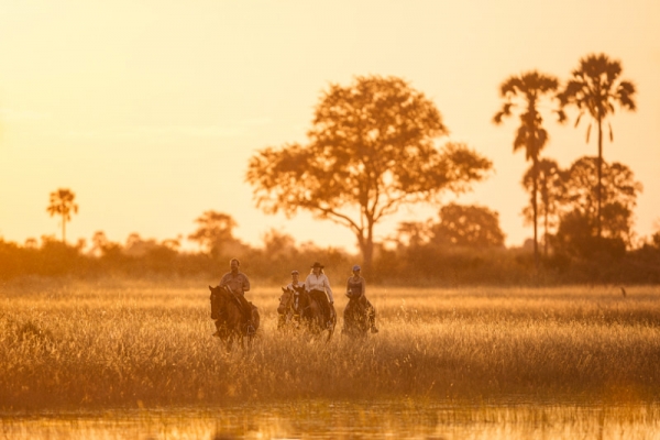 Sunset horse ride in the Okavango Delta