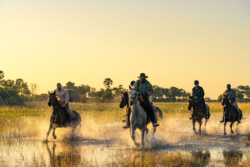 Horses and riders galloping in the Okavango Delta at Macatoo Lodge