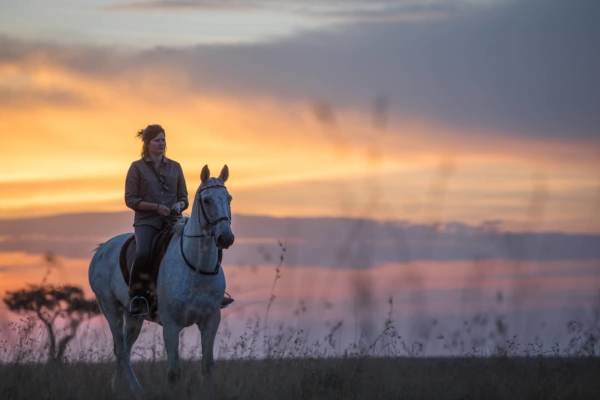 girl on white horse at sunset