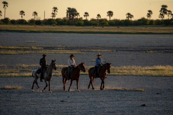 Horse riders on salt pans in evening light