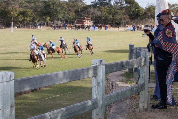Polo for experienced and beginner riders