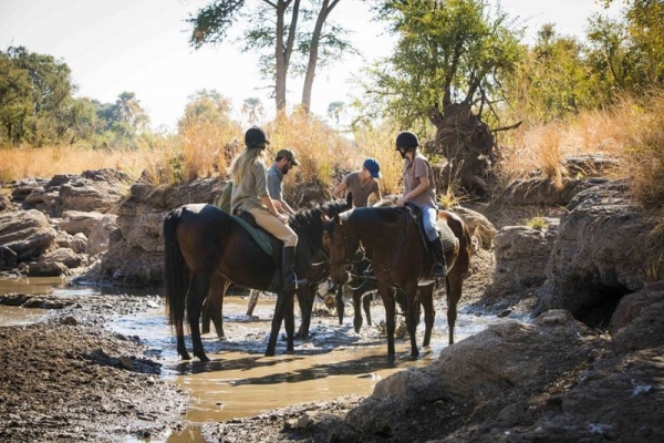 Horses splashing in river