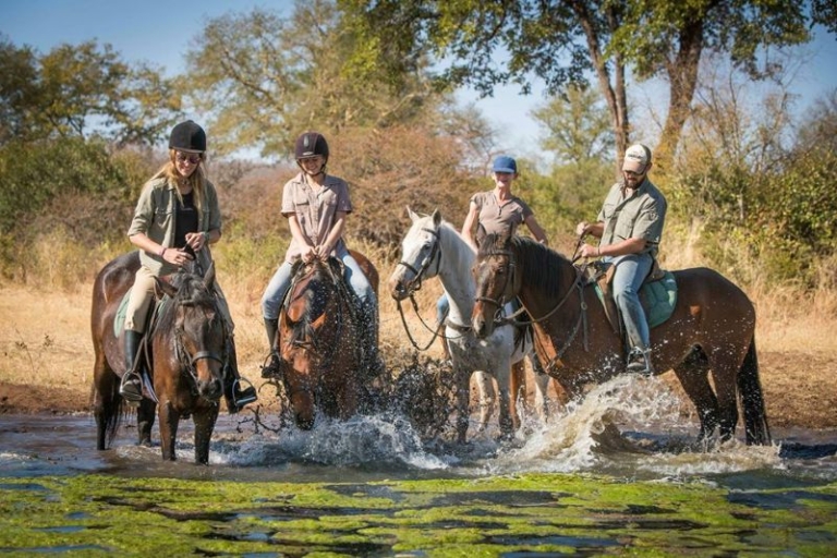 Horses splashing in river