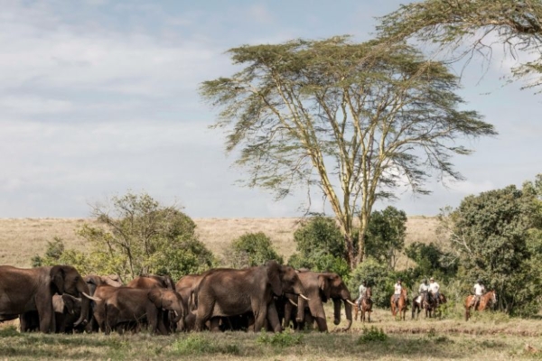 Horse riding safari and luxury lodge at Borana in Laikipia, Kenyar