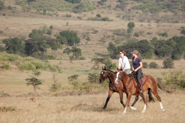 Horse riding in the Masai Mara with Gordie Church