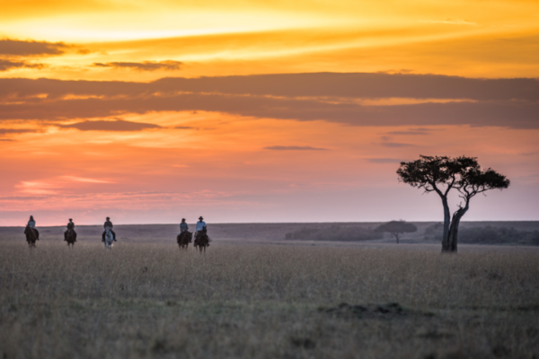 Sunsets in the Masai Mara on horseback