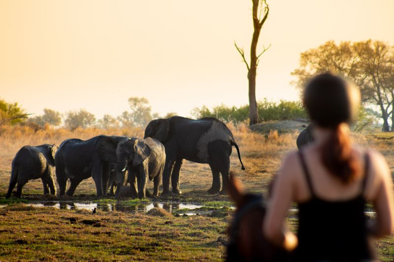 uganda horse safari