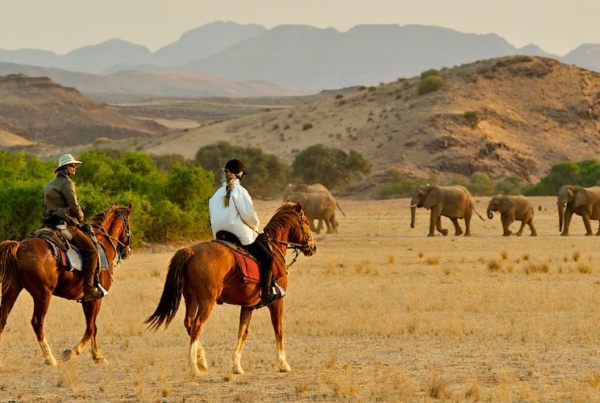 Horse Saffari in Damaraland Namibia