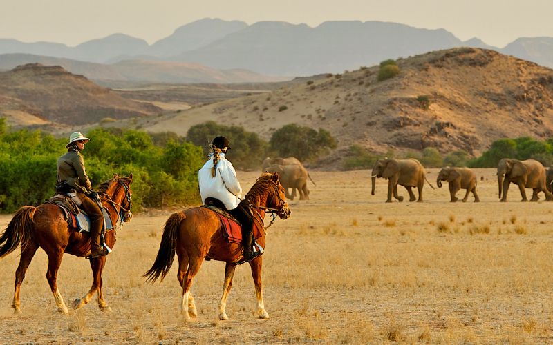 Horse Saffari in Damaraland Namibia