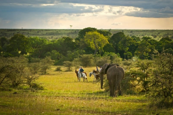 Horse riding with elephants in Masai Mara