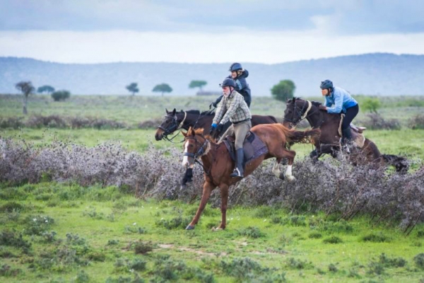 Horses leaping over fallen trees