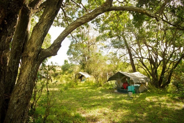 Safari camp in Kenya
