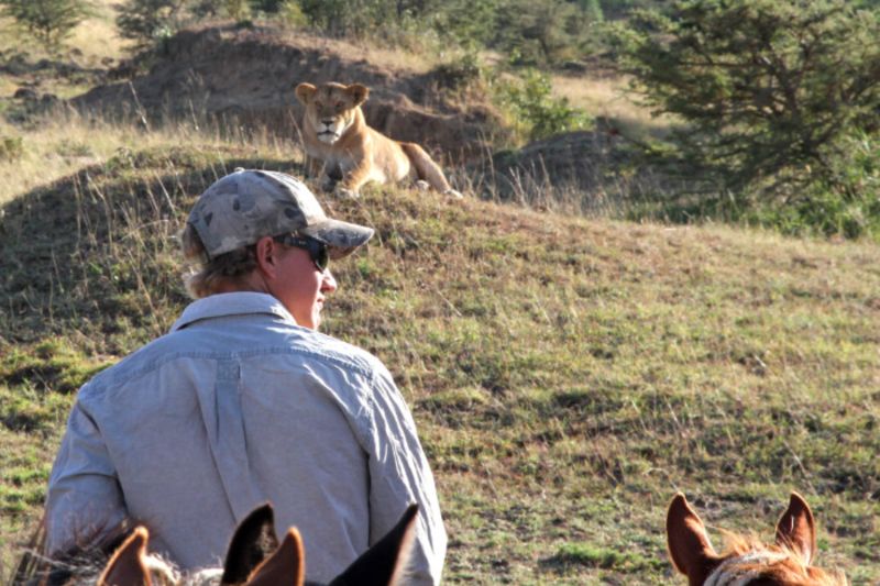 horse riding with lion