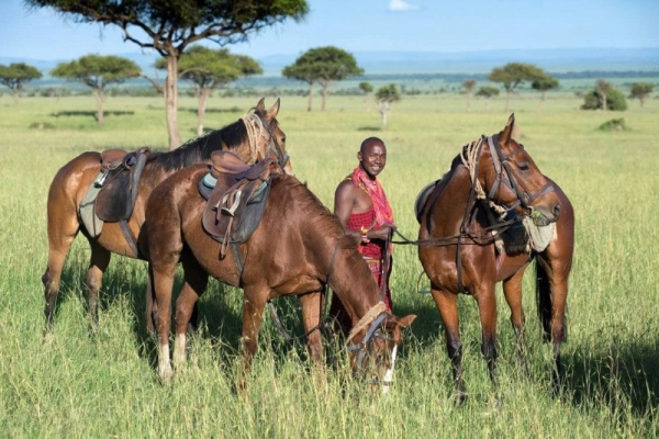 Masai warrior with horses