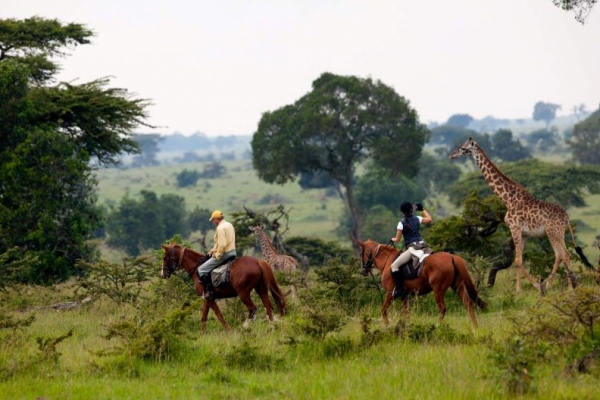 Horse riding with giraffe in Kenya