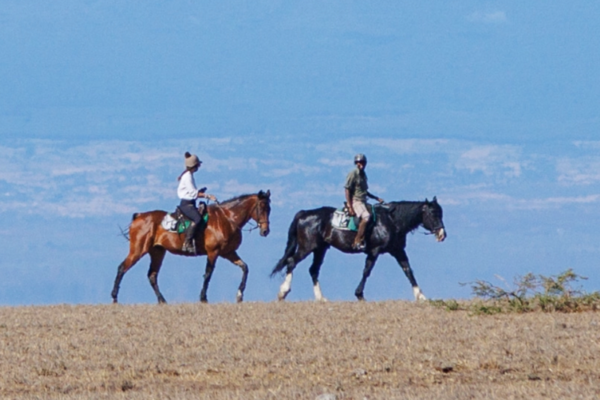 African Horse Safaris - Ol Donyo Lodge Kenya (1) Horse riding at Ol Donyo Lodge in Kenya