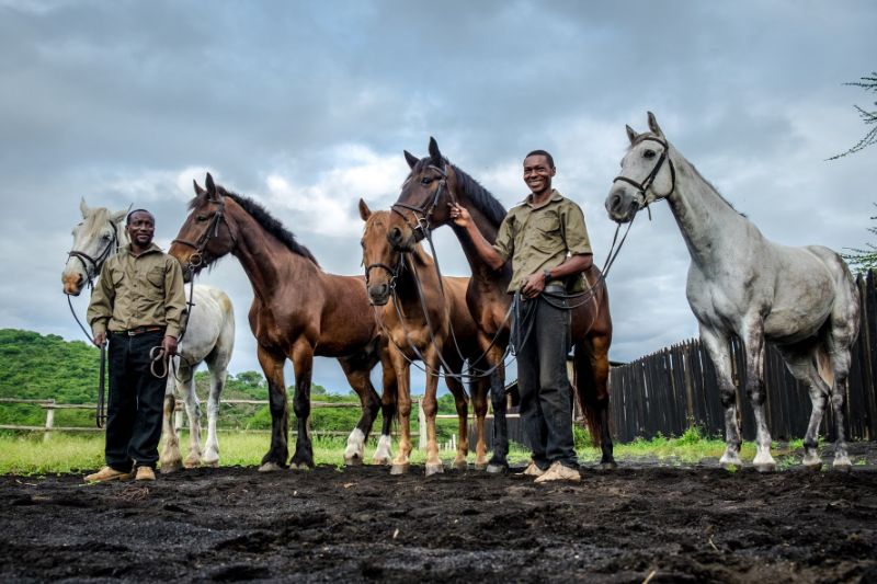 Horse care at Ol Donyo Lodge