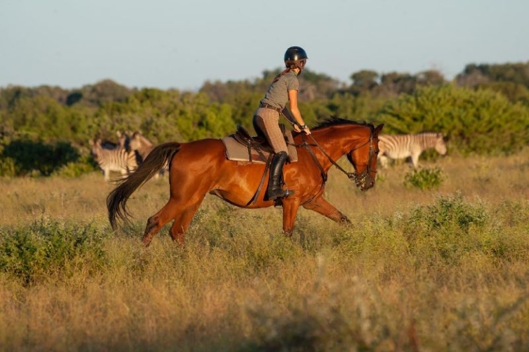 Horse riding in the Tuli