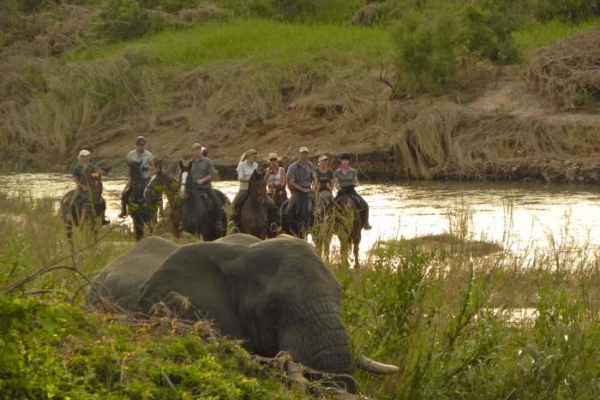 Elephants love the riverbeds