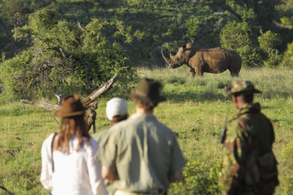 Guided walk with rhino in Kenya