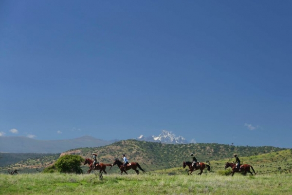 Galloping horses in Kenya