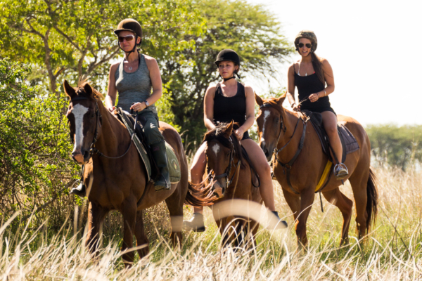 Horse riders in africa