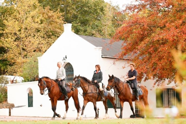 Visit beautiful wineries