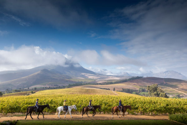Scenic rides followed by world class wine tasting