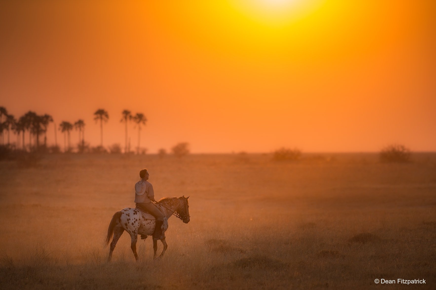 Horse Riding Holiday with African Horse Safaris