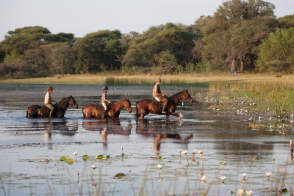 horse riding in the Okavango Delta
