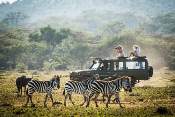 Game drive with zebra and wildebeest