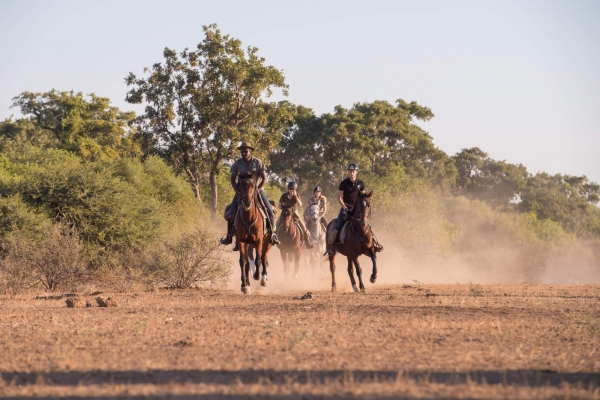 Horse riders galloping in dust