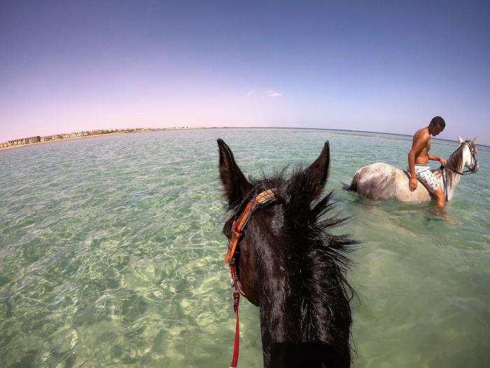 Horse riding in the ocean