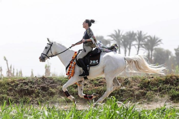 Egypt Horse Riding6