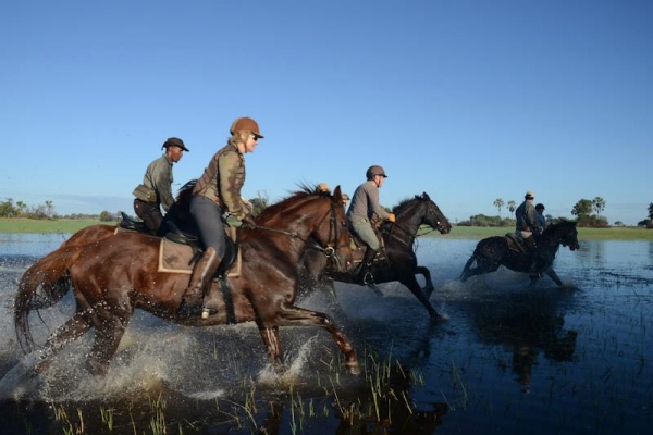 Fast horseback canters in the Okavango Delta