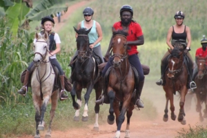 Horse riders galloping along dusty roads in Ugandan farmlands